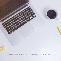 Různí interpreti – Instrumental Study Playlist