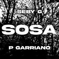 Seby G, P Garriano – Sosa