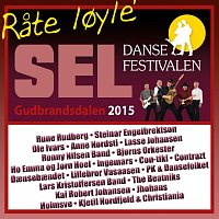 Přední strana obalu CD Dansefestivalen Sel, Gudbrandsdalen 2015 - Rate loyle'