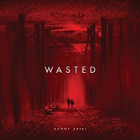 Danny Aridi – Wasted