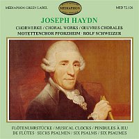 Rolf Schweizer & Motettenchor Pforzheim & Jugendkantorei der evangelischen Singschule Pforzheim – Franz Joseph Haydn: Choral Works