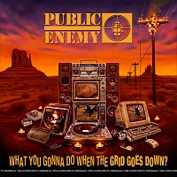 Public Enemy – What You Gonna Do When The Grid Goes Down? MP3