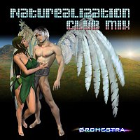 Void Orchestra – Naturealization Club Mix