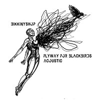 Bikkinyshop – Flyway for Blackbirds - acoustic