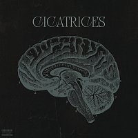 USKY – Cicatrices