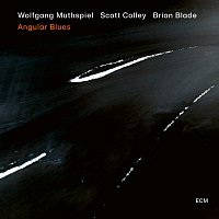 Wolfgang Muthspiel, Scott Colley, Brian Blade – Everything I Love