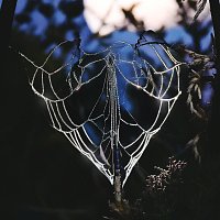 mew – mercoledi mai