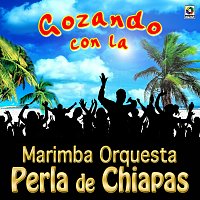 Marimba Orquesta Perla de Chiapas – Gozando Con La Marimba Orquesta Perla De Chiapas