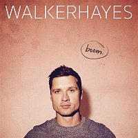 Walker Hayes – Beer in the Fridge
