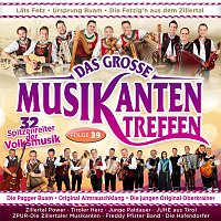 Přední strana obalu CD Das große Musikantentreffen - Folge 39