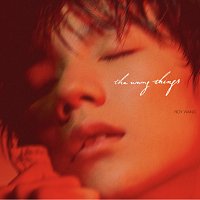 Roy Wang – The Wrong Thing