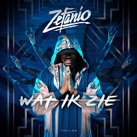 Zefanio – Wat Ik Zie