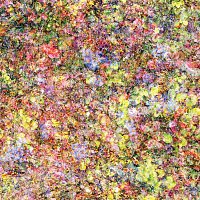 Přední strana obalu CD Family