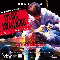 Přední strana obalu CD Spring Awakening (In German Language)