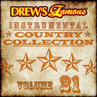 Přední strana obalu CD Drew's Famous Instrumental Country Collection [Vol. 21]