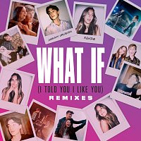 Johnny Orlando, kenzie – What If (I Told You I Like You) [Remixes]