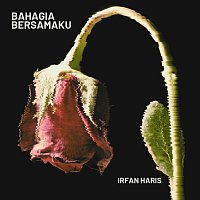 Irfan Haris – Bahagia Bersamaku