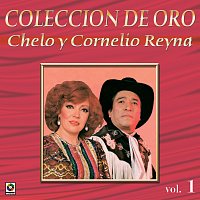 Colección de Oro: Conjunto Norteno, Vol. 1