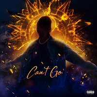 UnoTheActivist, Ty Dolla $ign – Can't Go
