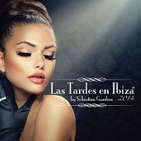 Various  Artists – Las Tardes En Ibiza 2014 mixed by Sebastian Gamboa