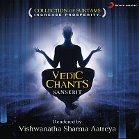 Přední strana obalu CD Vedic Chants