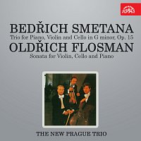 Smetana: Trio pro klavír, housle a violoncello g moll - Flosman: Sonáta pro housle, violoncello a klavír
