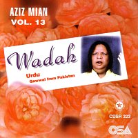 Aziz Mian – Wadah