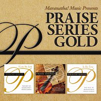 Různí interpreti – Praise Series Gold