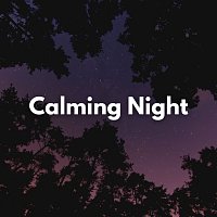 Midnight Jewels – Calming Night