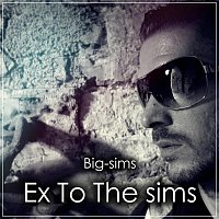 Big-sims – Ex To The sims