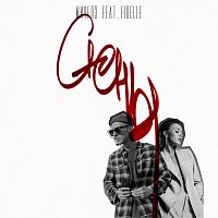 Přední strana obalu CD Steny