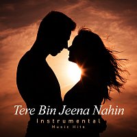 Tere Bin Jeena Nahin [Instrumental Music Hits]