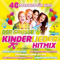 Různí interpreti – Der große Kinderlieder Hitmix - 40 coole Hits für Kids