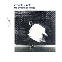 Robert Plant – The Principle Of Moments CD