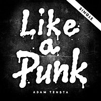 Adam Tensta – Like A Punk