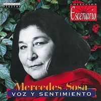 Mercedes Sosa – Voz y Sentimiento