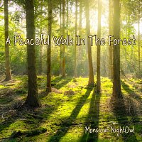 Monsieur NightOwl – A Peaceful Walk in the Forest