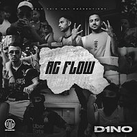 D1NO – AC FLOW