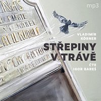 Igor Bareš – Körner: Střepiny v trávě