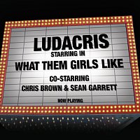Přední strana obalu CD What Them Girls Like co-starring Chris Brown & Sean Garrett [Edited Version]