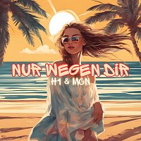 H1, MCN, TeeageBeatz – Nur wegen dir