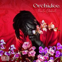 Paulo Chakal – Orchidée