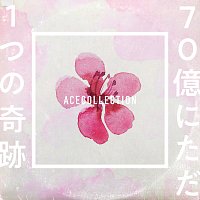 ACE COLLECTION – Nanajuuoku Ni Tadahitotsu No Kiseki