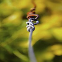 Přední strana obalu CD Cause You're Worth It