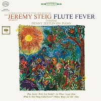 Jeremy Steig – Flute Fever