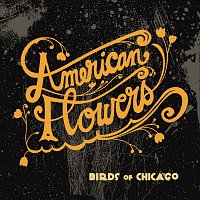 Birds Of Chicago, Allison Russell, JT Nero – American Flowers