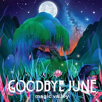 Goodbye June – Magic Valley