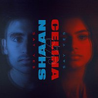 DJ Shaan, Celina Sharma – Say Yes