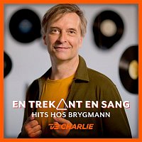 Martin Brygmann – En trekant en sang