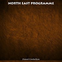Přední strana obalu CD North East Programme